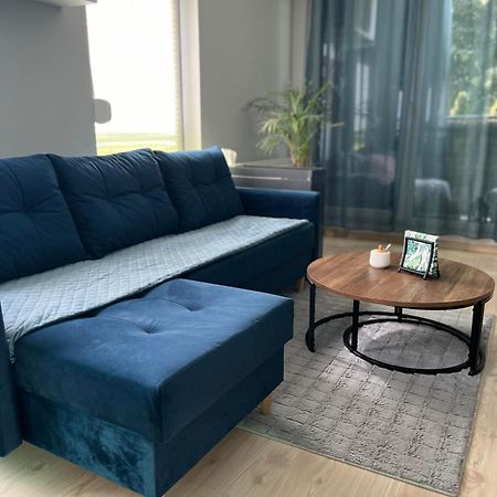 Apartament U Buni Wroclaw Bagian luar foto